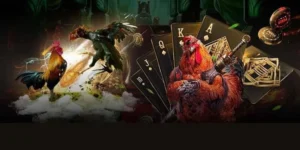 Hướng Dẫn Cách Chơi Đá Gà GA28 Tại Hay88 Chi Tiết Nhất