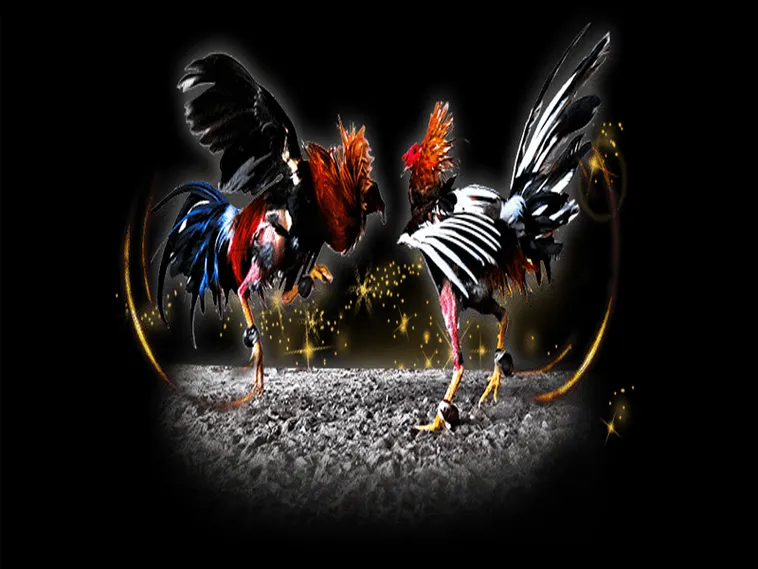 Hướng Dẫn Chơi Đá Gà 3D Tại Hay88: Thông Tin Chi Tiết Nhất 2 Hướng Dẫn Chơi Đá Gà 3D Tại Hay88: Thông Tin Chi Tiết Nhất