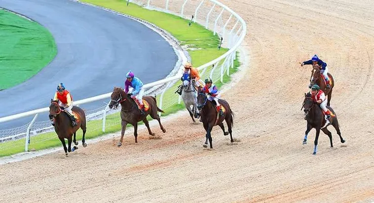 Tìm Hiểu Cá Cược Đua Ngựa Hay88: Hành Trình Kịch Tính