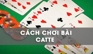 Hướng Dẫn Cách Chơi Sắc Tê Nhà Cái Hay88 Chi Tiết Nhất